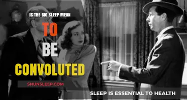 The Big Sleep: Convoluted by Design?