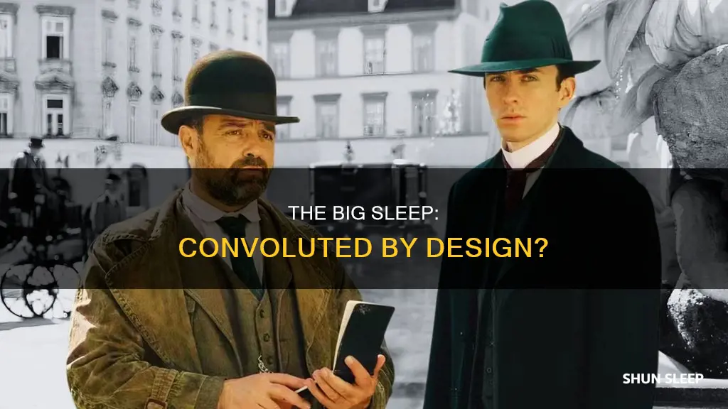 is the big sleep mean to be convoluted