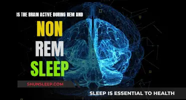 Brain Activity During Sleep: REM vs Non-REM