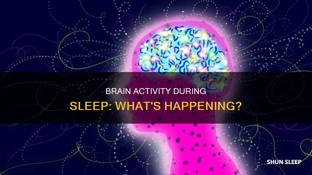 is the brain working while sleeping