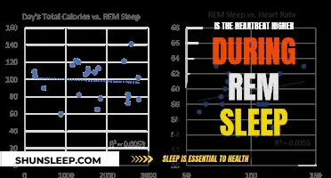 REM Sleep and Heart Rate: What's the Connection?