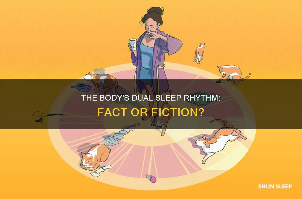 is the human body designed to sleep twice a day
