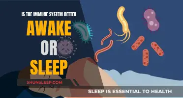 How Sleep and Wake Cycles Affect Your Immune System