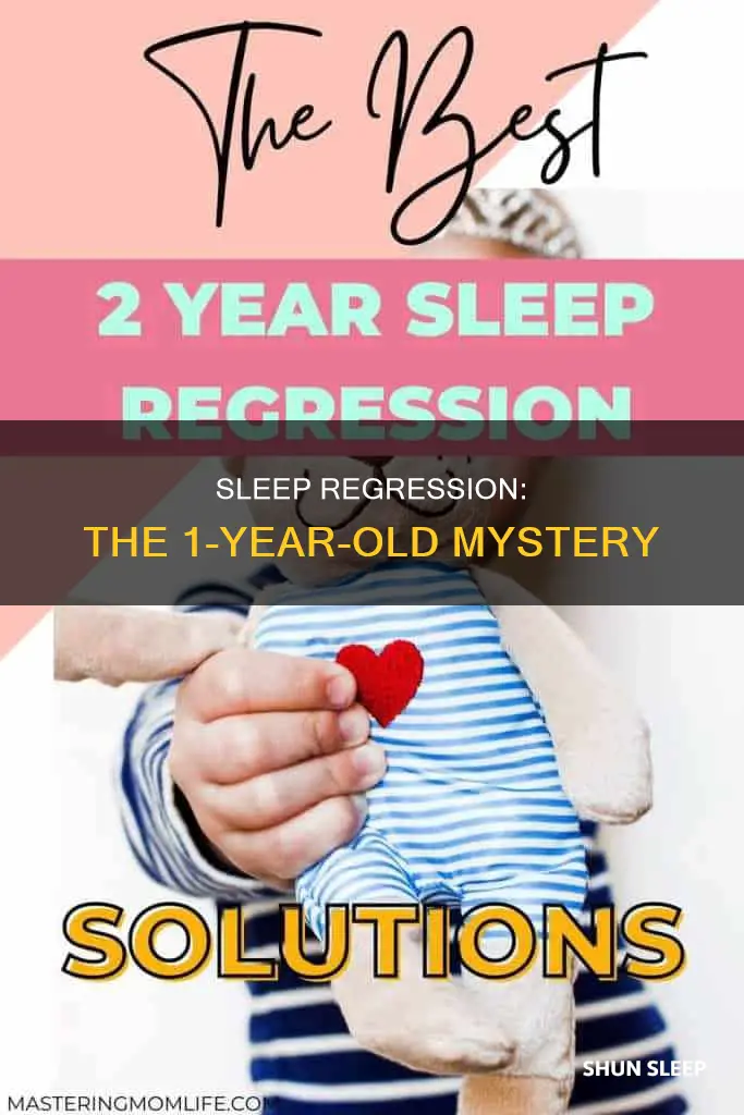 is there a 1 year old sleep regression