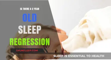 Sleep Regression in Toddlers: The 2-Year-Old Challenge