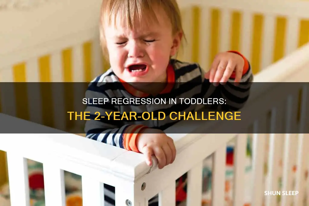 is there a 2 year old sleep regression
