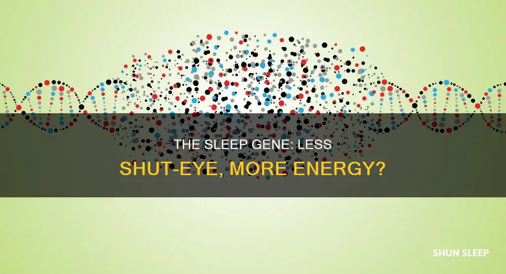 is there a gene that lets you need less sleep
