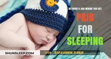 Paid to Sleep: Exploring Careers That Reward Rest and Relaxation