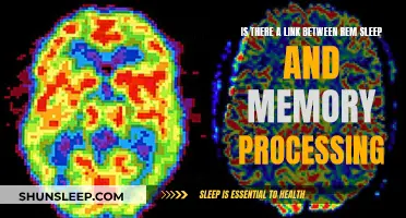 REM Sleep: Memory Processing Link Explored