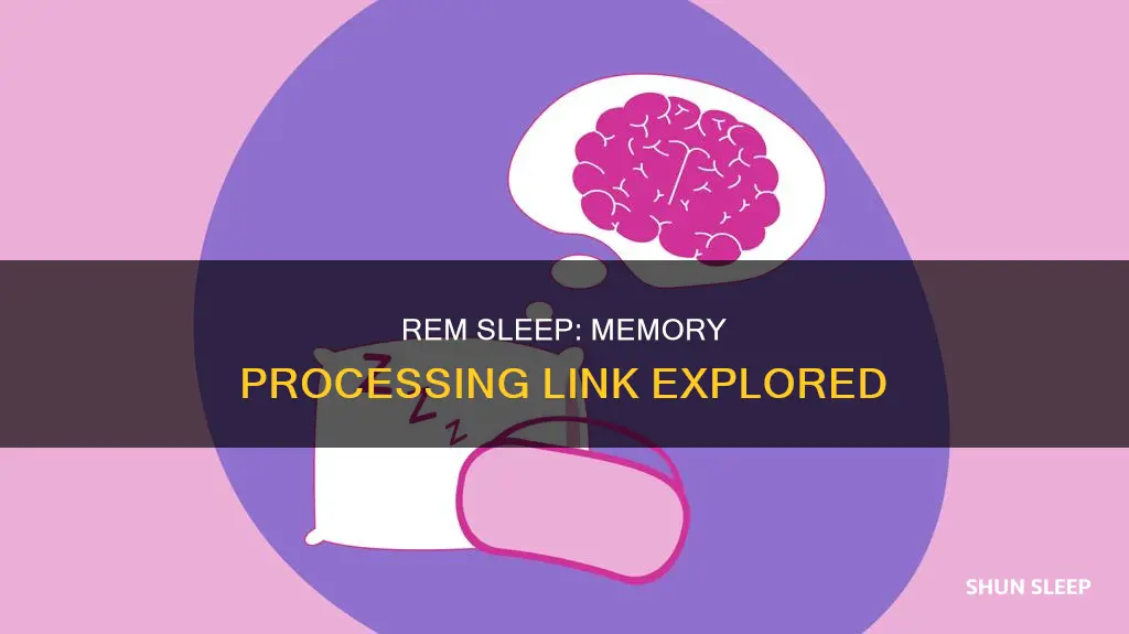 is there a link between rem sleep and memory processing