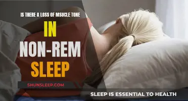 Muscle Tone and Non-REM Sleep: What's the Connection?