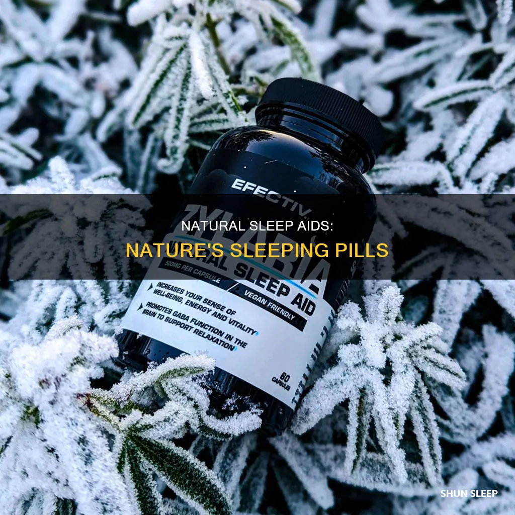 is there a natural sleeping pill