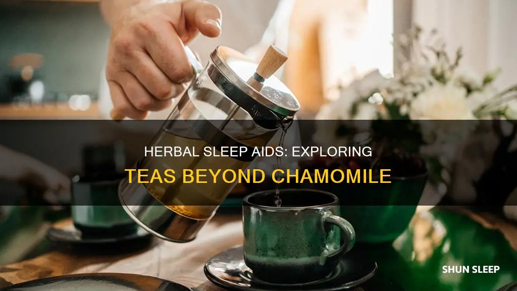 is there a tea for sleeping without camomile