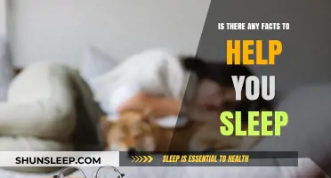 Proven Sleep Facts: Unlocking Better Rest with Science-Backed Tips