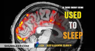 How Much Energy Does Your Body Use While Sleeping?