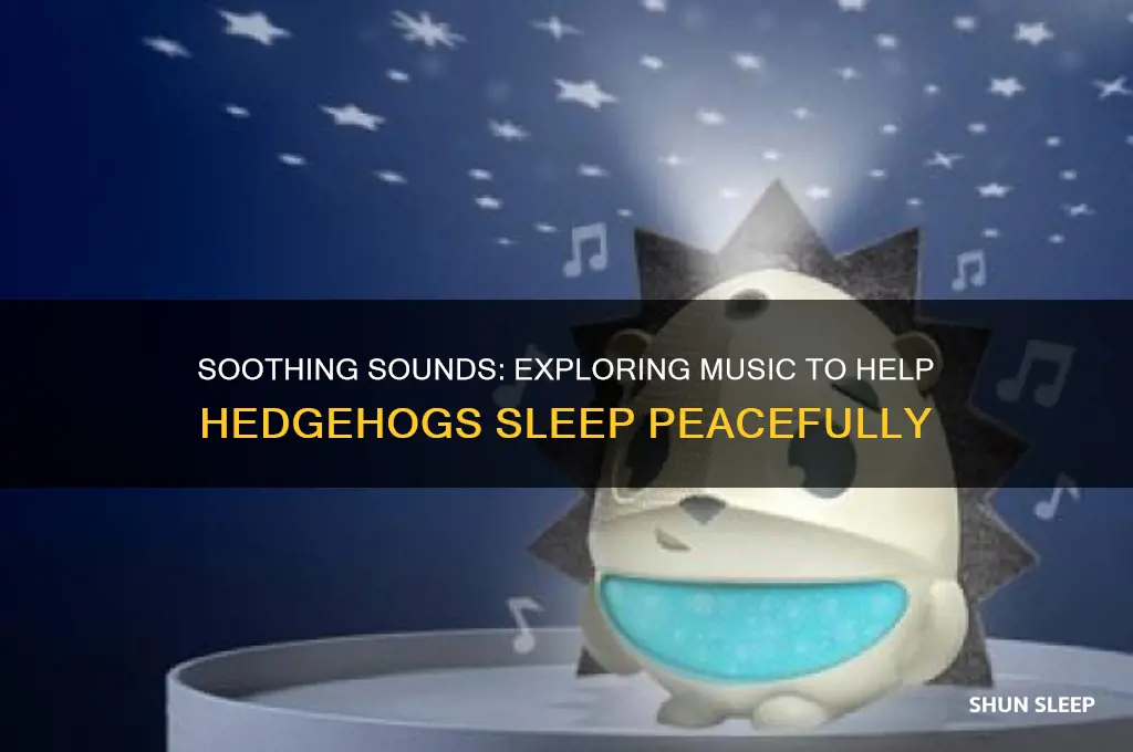 is there music that can help hedgehogs sleep