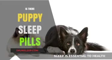 Sleep Pills for Puppies: Safe or Not?