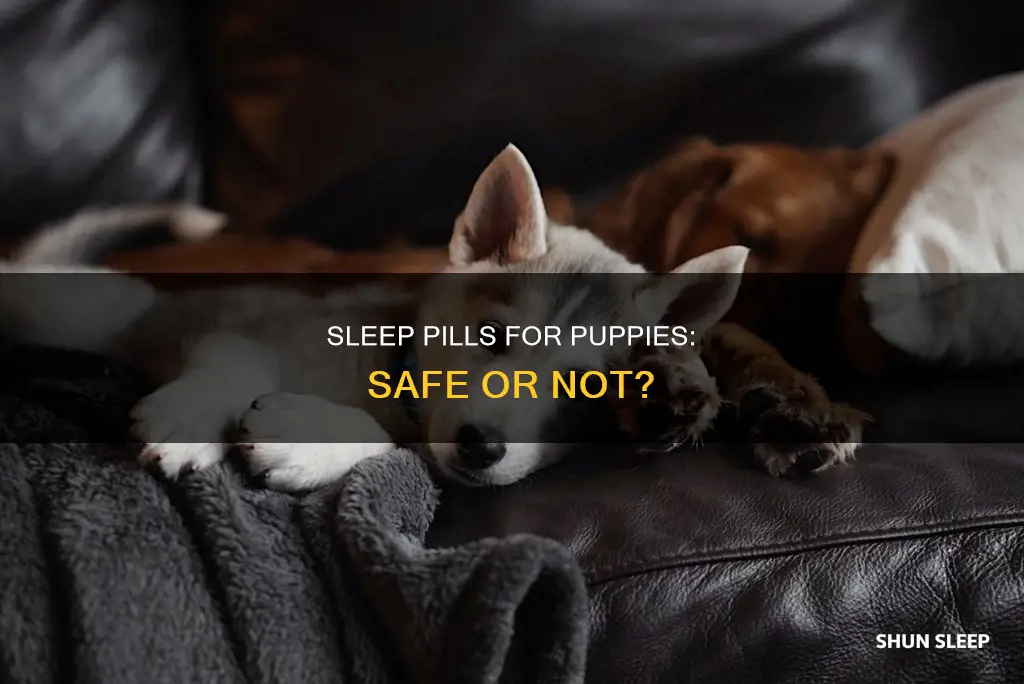 is there puppy sleep pills