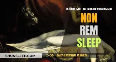 Skeletal Muscle Paralysis: Non-REM Sleep's Effect