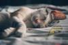 meaning sleep