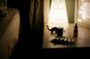 medication supplements sleep