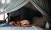 monitoring improvement sleep