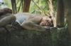 preparation environment sleep