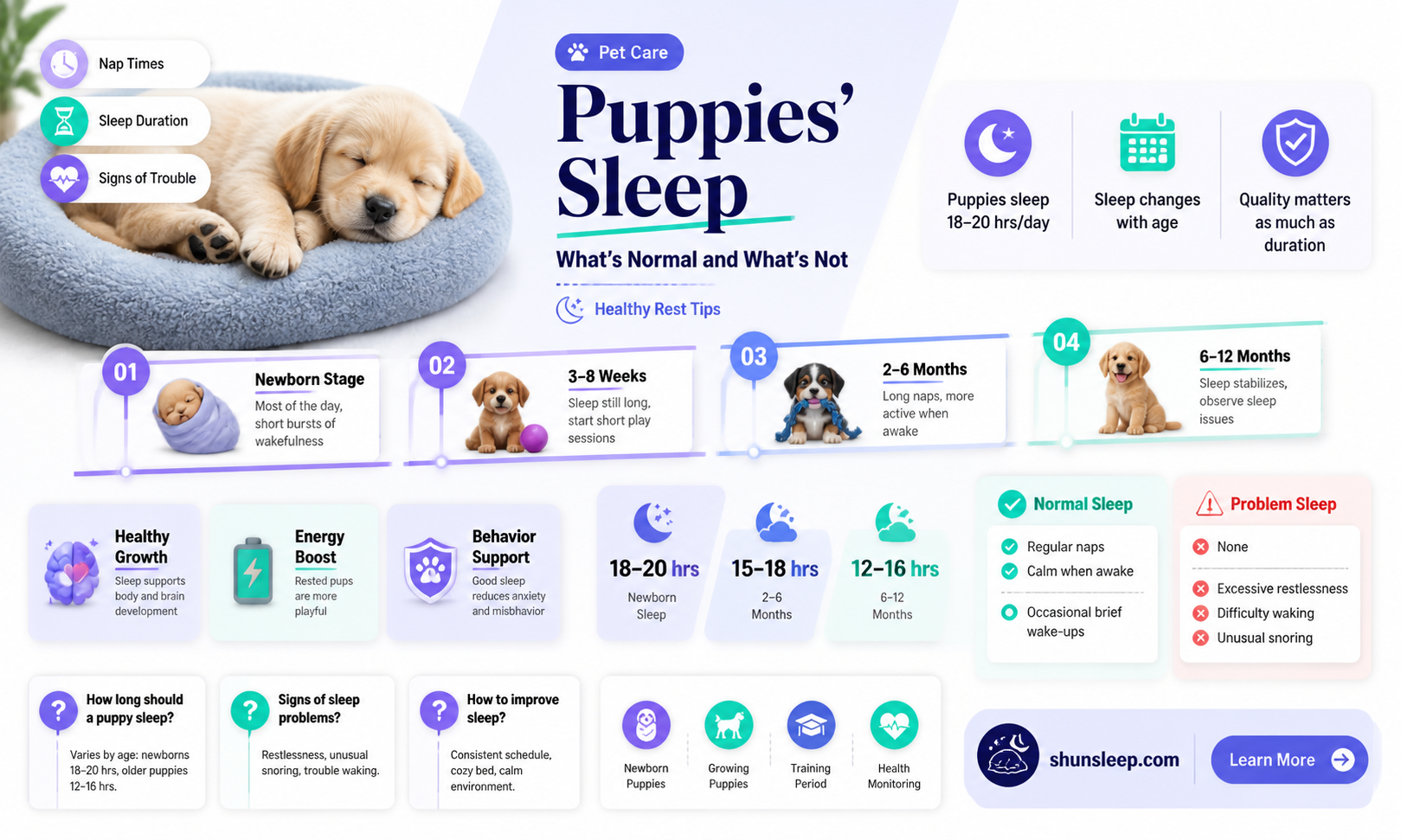 are puppies supposed to sleep all day