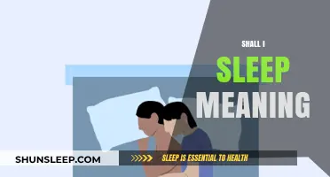 Understanding the Meaning of Sleep: Shall I Sleep?