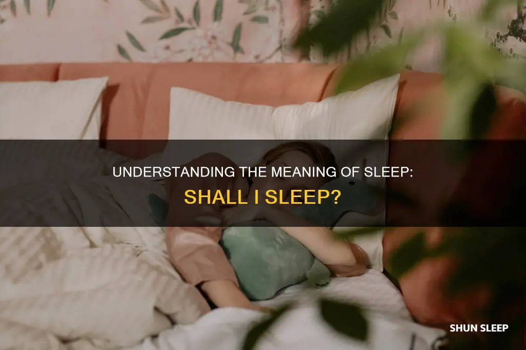 shall i sleep meaning
