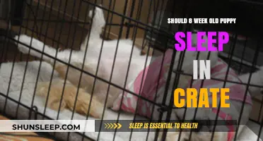 How Should Your 8-Week-Old Puppy Sleep?
