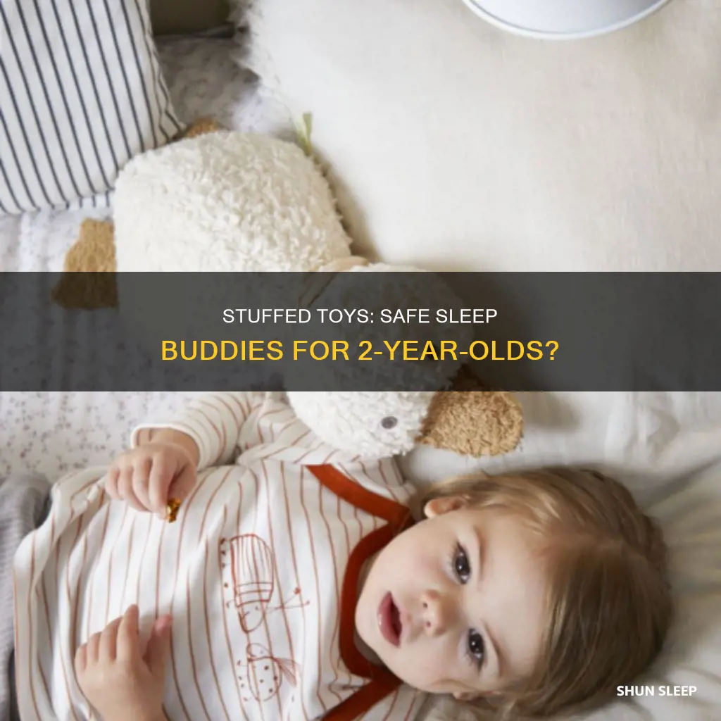 should a 2 year old sleep with a stuffed toy