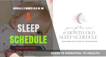 Sleep Training: The Right Time for Your Baby's Schedule