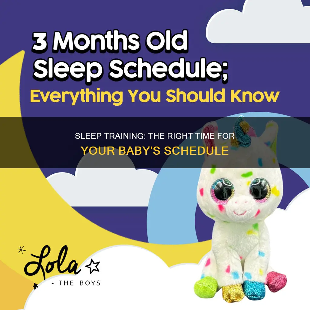 should a 3 month old be on a sleep schedule