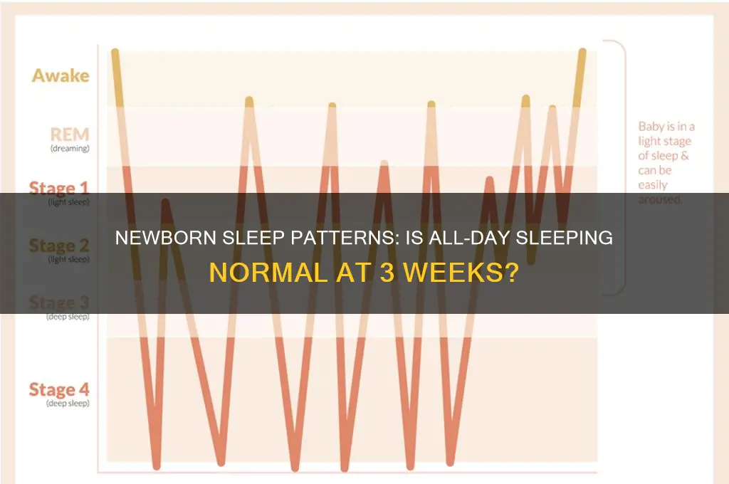 should a 3 week old baby sleep all day