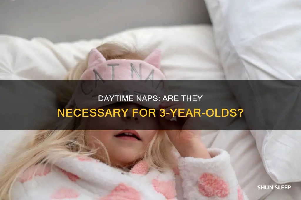 should a 3 year old sleep during the day