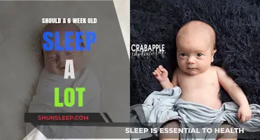 How Much Sleep Does Your 6-Week-Old Need?