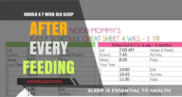 Feeding and Napping: The 7-Week-Old Baby's Schedule