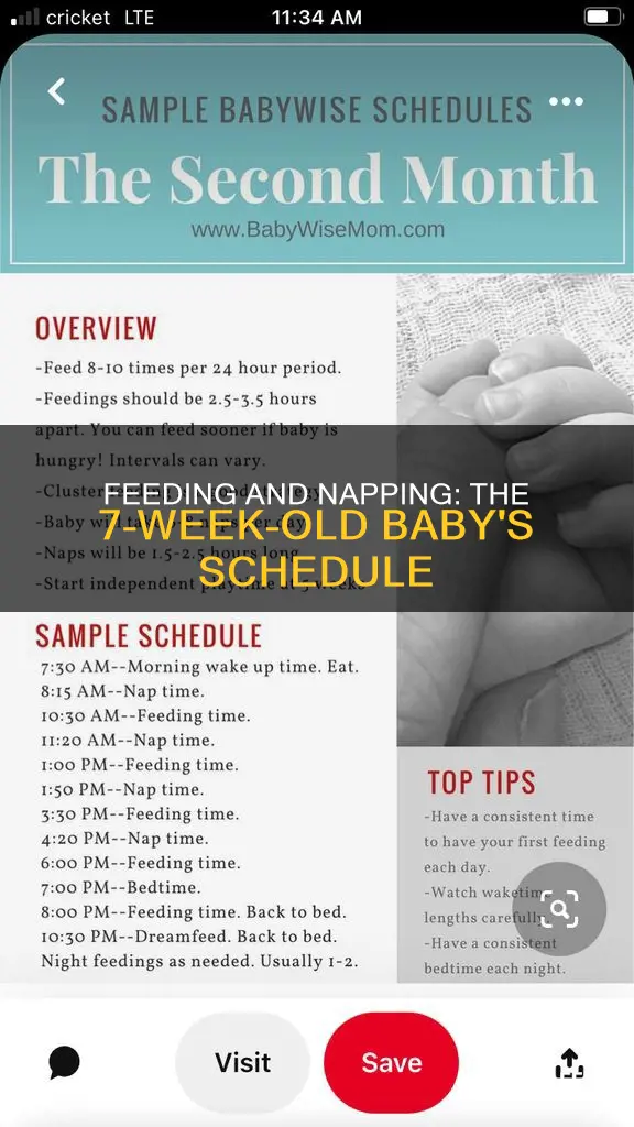 should a 7 week old sleep after every feeding