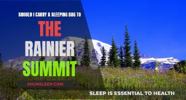 Sleeping Bags: Essential Gear for Rainier Summit?