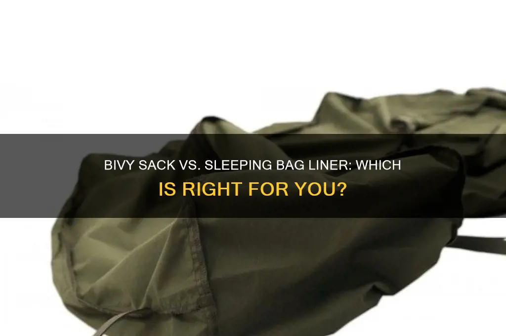 should i get a bivy sack or sleeping bag liner