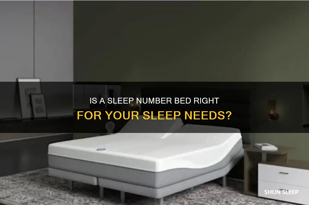 should i get a sleep number bed