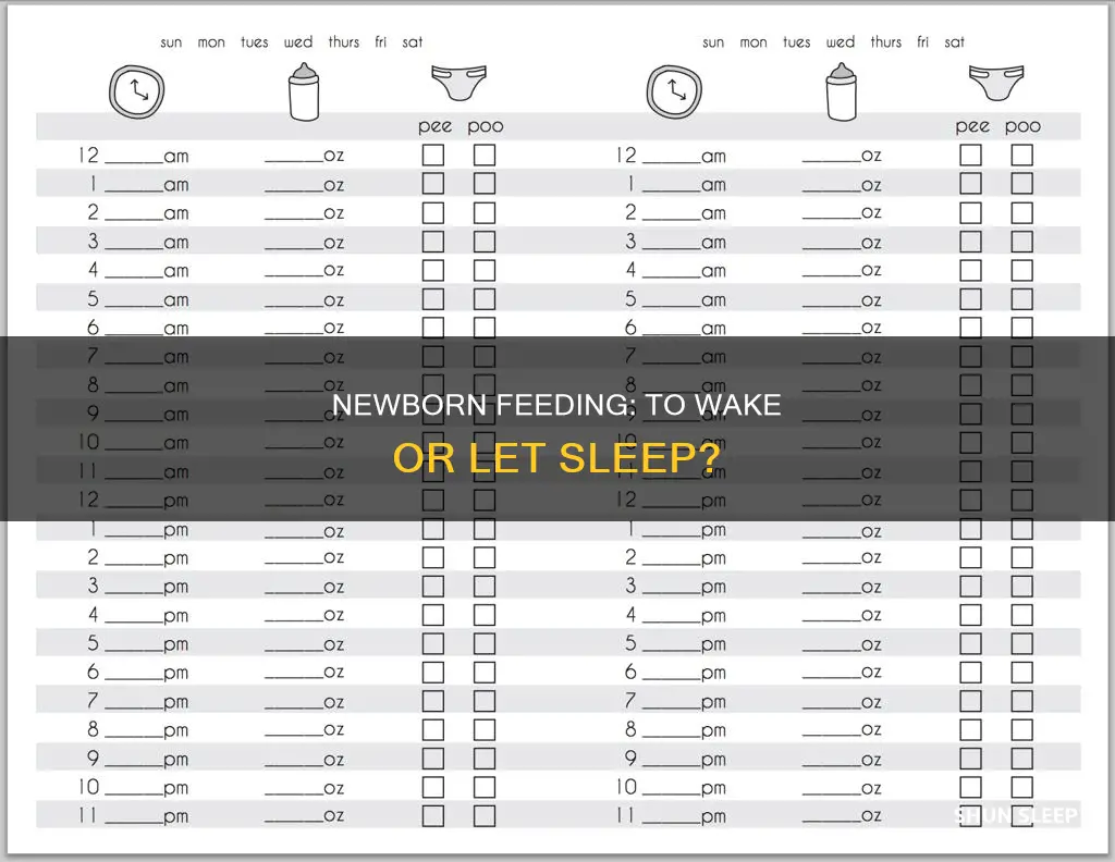 should i let my newborn sleep or wake to feed