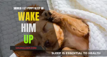 Let Sleeping Dogs Lie: The Puppy Sleep Dilemma