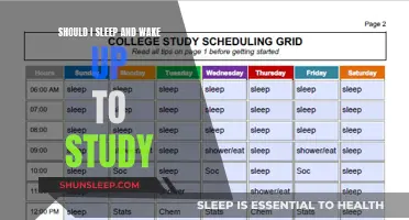 Study Strategies: Sleep and Wakefulness