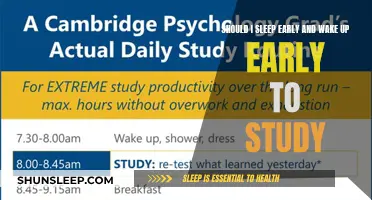 Early Bird Study: Unlocking Productivity Through Consistent Sleep Schedules