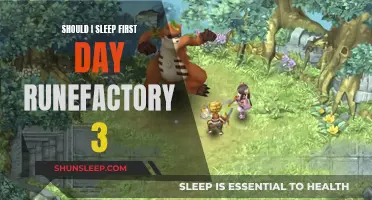 First Day of Rune Factory 3: Sleep or No Sleep?