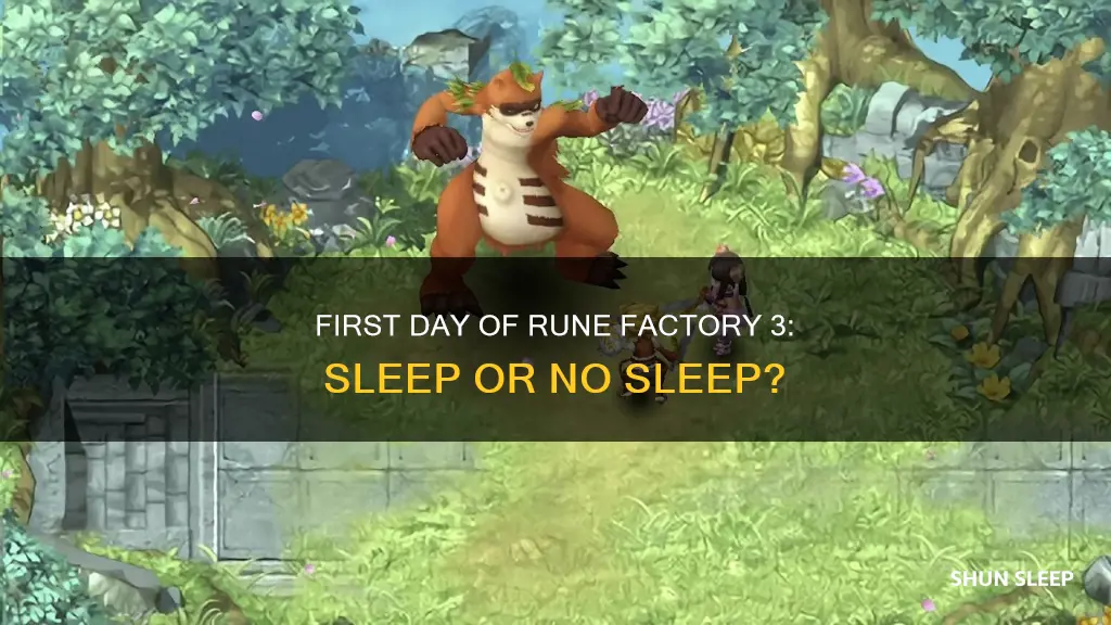 should i sleep first day runefactory 3