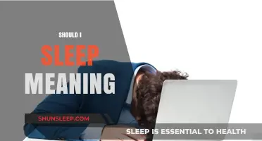 Exploring the Meaning of Sleep: Why We Need It