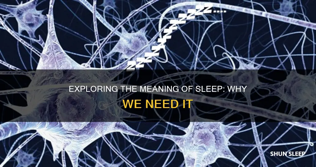 should i sleep meaning